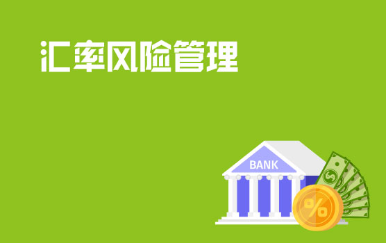 最新外汇形式下的汇率风险管理 Ⅱ