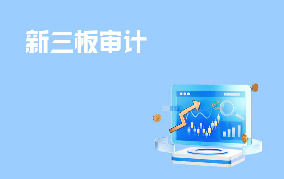 新三板审计的财务与税务问题 I