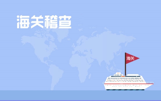 海关业务风险管控与海关稽查