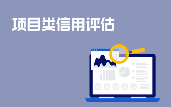 项目类销售企业的客户信用评估