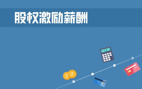 股权激励薪酬计划概览 II