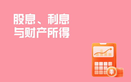 税收协定实践运用与案例分析-股息、利息与财产所得