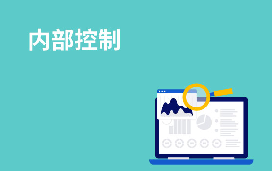 铂略内部控制最佳实践 I
