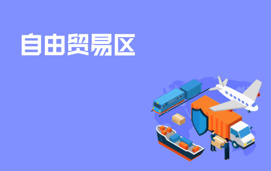 自由贸易区对跨国企业影响的探讨