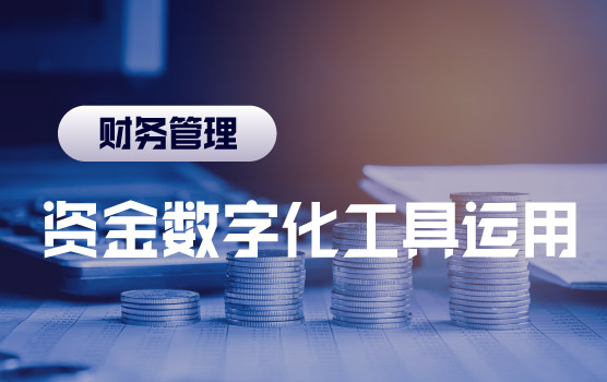 资金数字化管理典型案例解析与工具运用Ⅱ