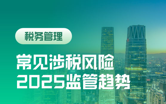 2024年常见涉税问题盘点及2025年税务监管趋势