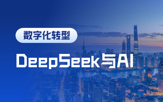 数智合一： Deepseek与AI财务数据分析实战技巧