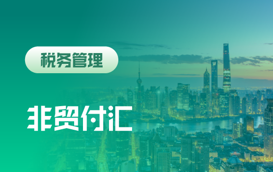 服务贸易付汇主要问题与虚拟付汇全模拟（上海第二场）