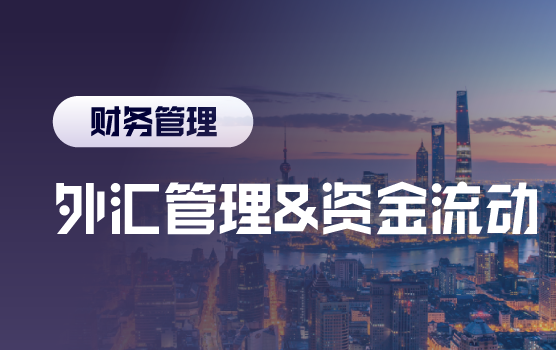 宽进严出的外汇环境下，企业资金流动的管理策略
