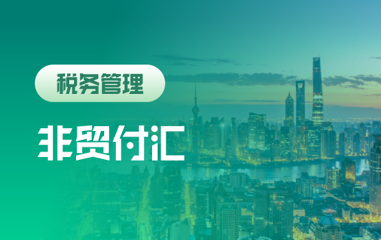 逐一攻破，全案例解析非贸付汇常见疑难