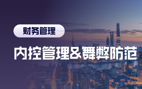 企业风险管理策略与精选舞弊案例解析