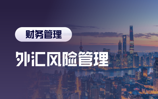 新常态下企业汇率风险与跨境资金管理（上海站）
