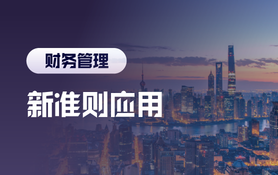 新收入、新租赁准则重大变化详解与运用