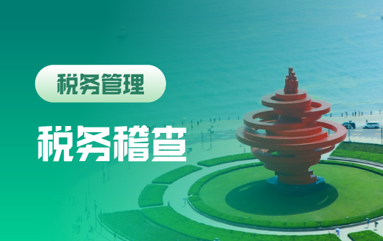 2025稽查重点行业与方向及相关应对措施