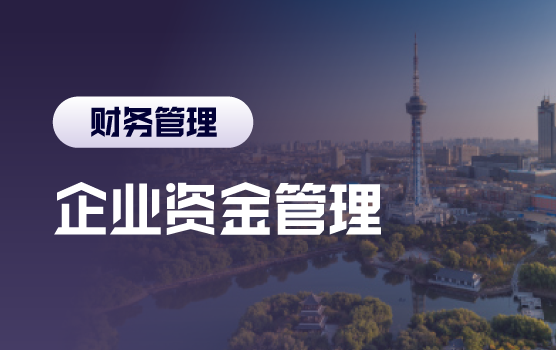 企业标准化资金管理模式与风险控制（长春）
