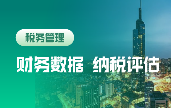财务报表数据表象分析在纳税评估中的应用（南京）