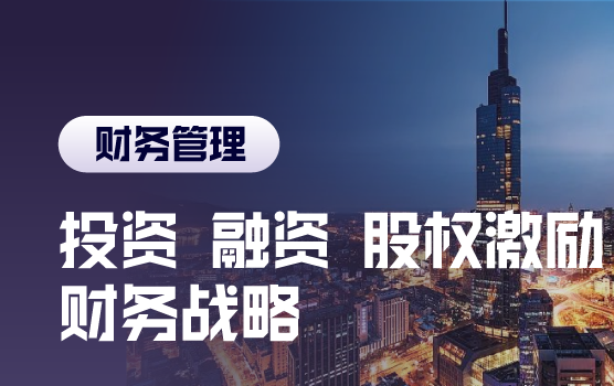 投资、融资、股权激励， 企业发展战略下的财务战略规划