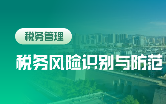 “强减税、严征管”税收新形式下企业税务风险识别与防范策略