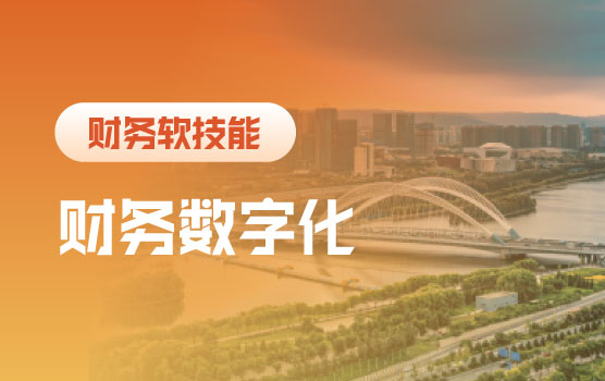 数据双核驱动： DeepSeek与Excel完美融合助力财务高效办公