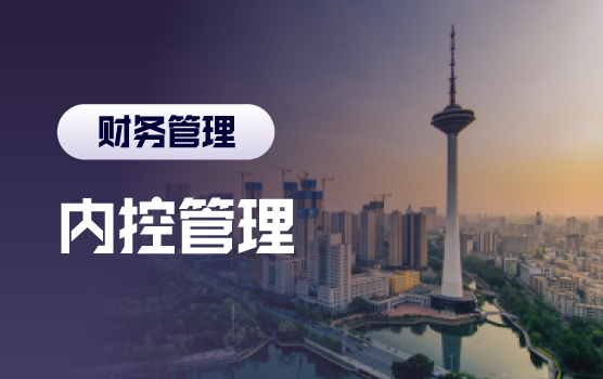 前车之鉴，企业内控与风险防范经典案例分析