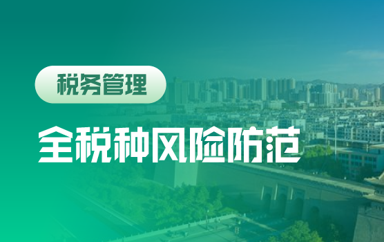 新征管模式下全方位、全税种风险防范实务