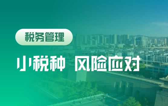 新征管形式下不得不防的小税种风险（长治）