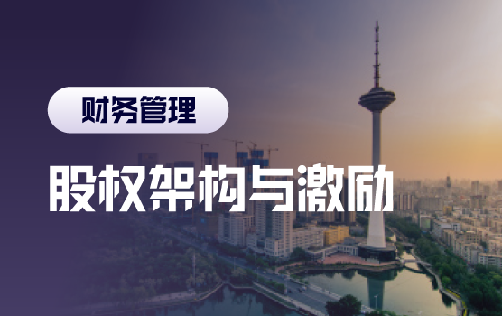 顶层设计、股权激励与合伙机制