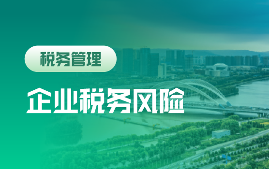 透析税务内部稽查案例把控企业税务风险自查要素