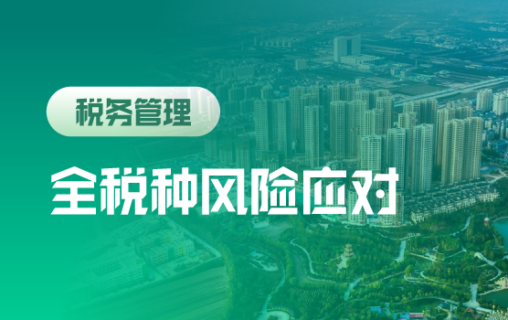 2020年全行业、全税种风险识别与防范实务