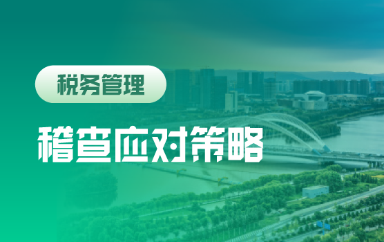 金税四期大数据环境下，税务稽查重点与常态化防控策略