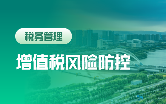 增值税九大核心管理控制模块梳理及风险防控策略（太原）