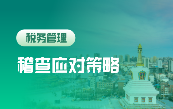 金税四期大数据环境下，税务稽查重点与常态化防控策略
