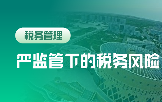 税收严监管下经营各环节涉税风险解析