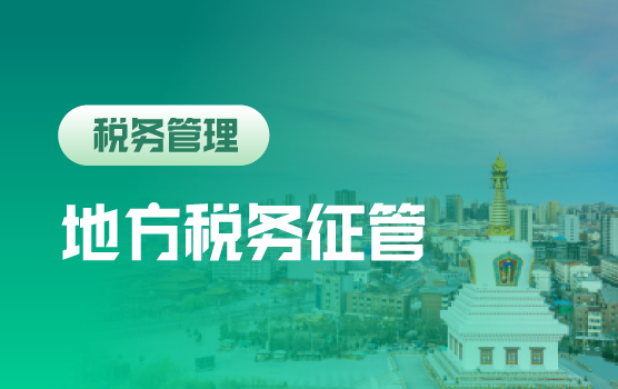 税务机关征管热点税种实务要点及案例解析（呼和浩特）
