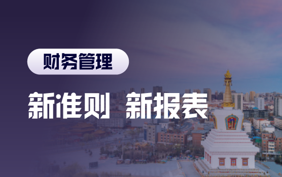最新会计准则与财务报表全实务案例解析