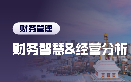 财务的智慧，数据价值挖掘与业务决策支持