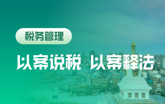 以案说税 以案释法—全税种风险辨析及救济之道
