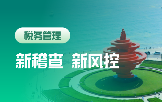 稽查新体制、新思维、新手段下企业税务风险识别与防范（青岛）