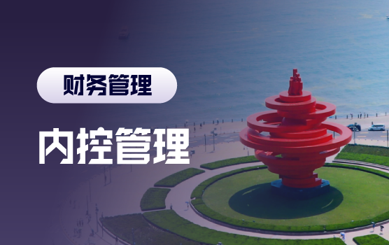 前车之鉴，企业内控与风险防范经典案例分析