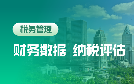 财务报表数据表象分析在纳税评估中的应用（乌鲁木齐）