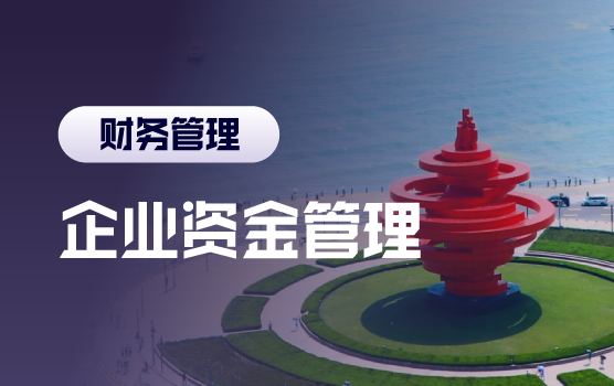 企业标准化资金管理模式与风险控制（青岛）