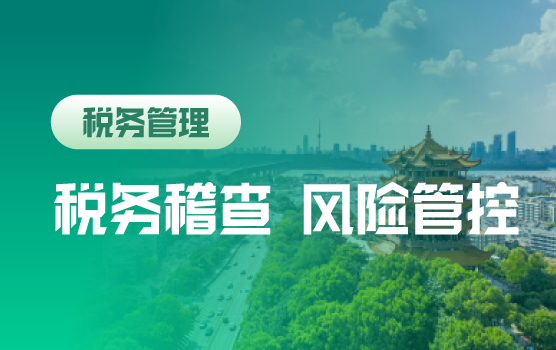 互联网+云计算下的税务稽查风险防范与节税技巧