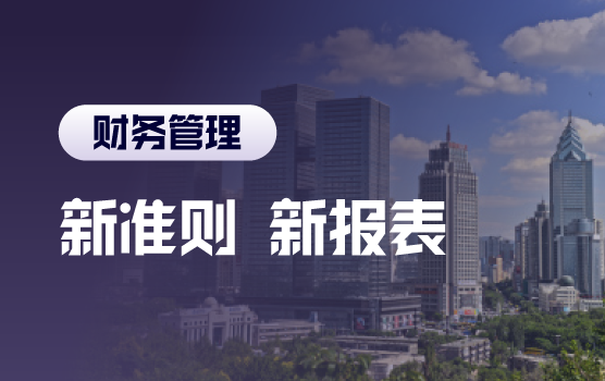 新准则在各行业运用的深度解析与最新报表实操技巧
