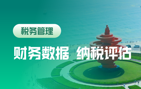 财务报表数据表象分析在纳税评估中的应用及风险释放（青岛）
