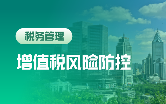 增值税九大核心管理控制模块梳理及风险防控策略（乌鲁木齐）