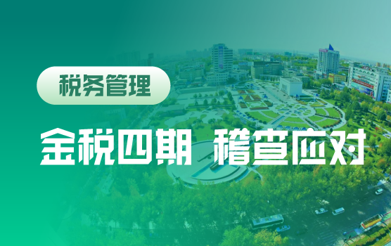金税四期下稽查重点分析与应对攻略