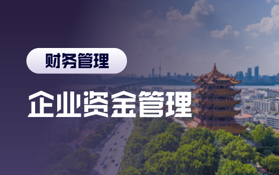 互联网时代下，集团资金管理创新实践