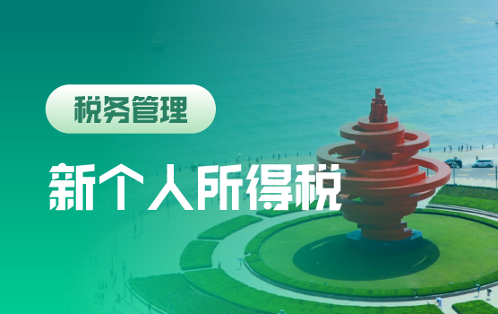 云平台大数据管理下个人所得税的风险应对与税务规划（青岛）