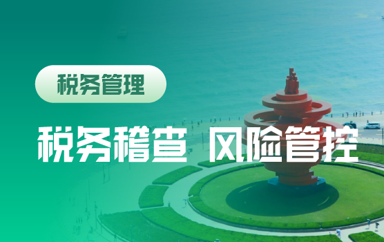 2018年税务稽查趋势分析全税种自我核查及风险应对（青岛）
