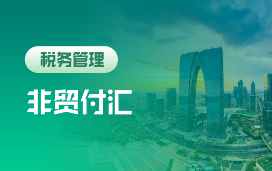 新政下企业非贸付汇税务风险及应对解析（苏州站）